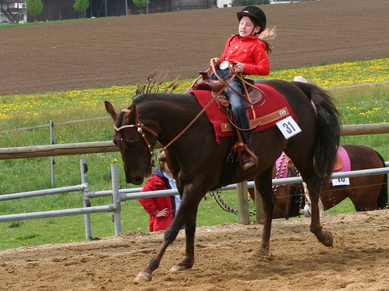 Galler 2010 26