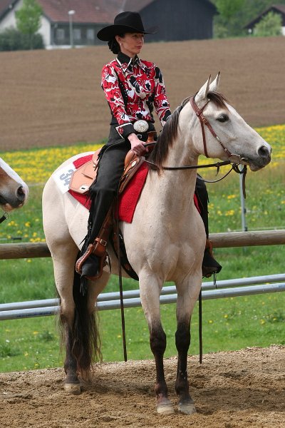 Galler 2010 33