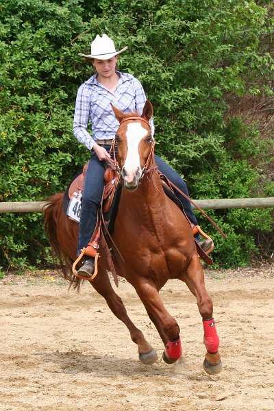 Galler 2010 34