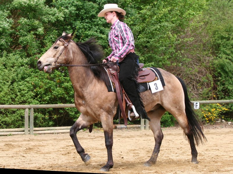 Galler 2010 39