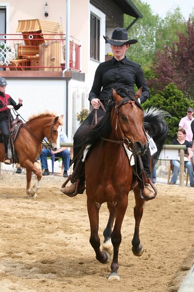 Galler 2010 40
