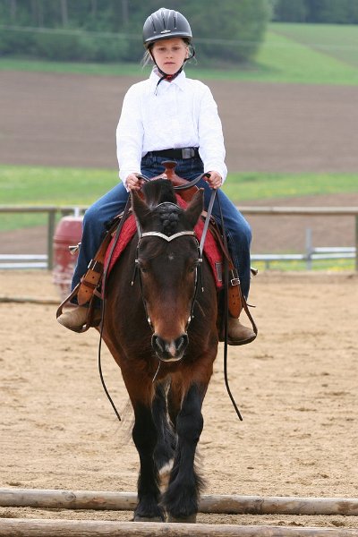 Galler 2010 52