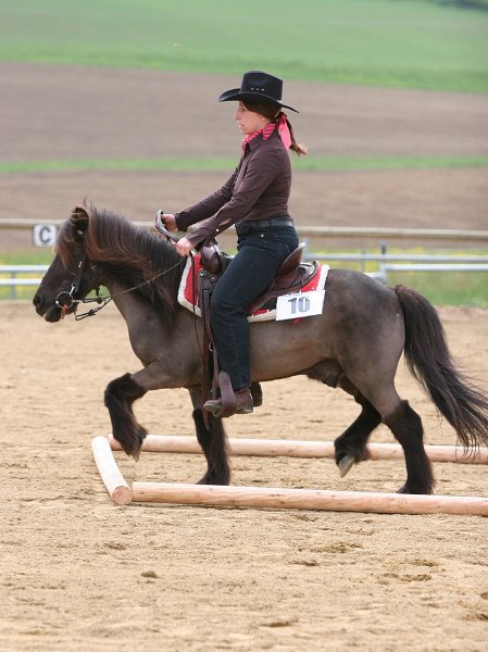 Galler 2010 59