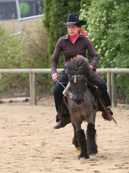 Galler 2010 61