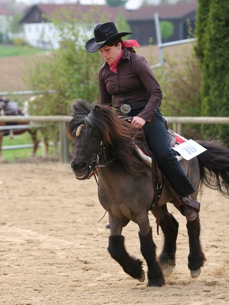 Galler 2010 62