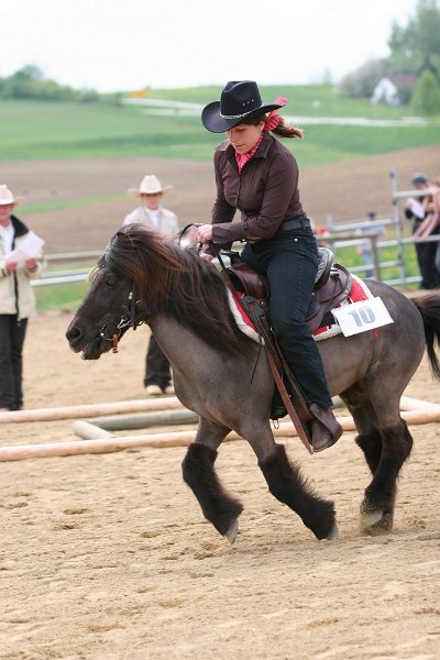 Galler 2010 63