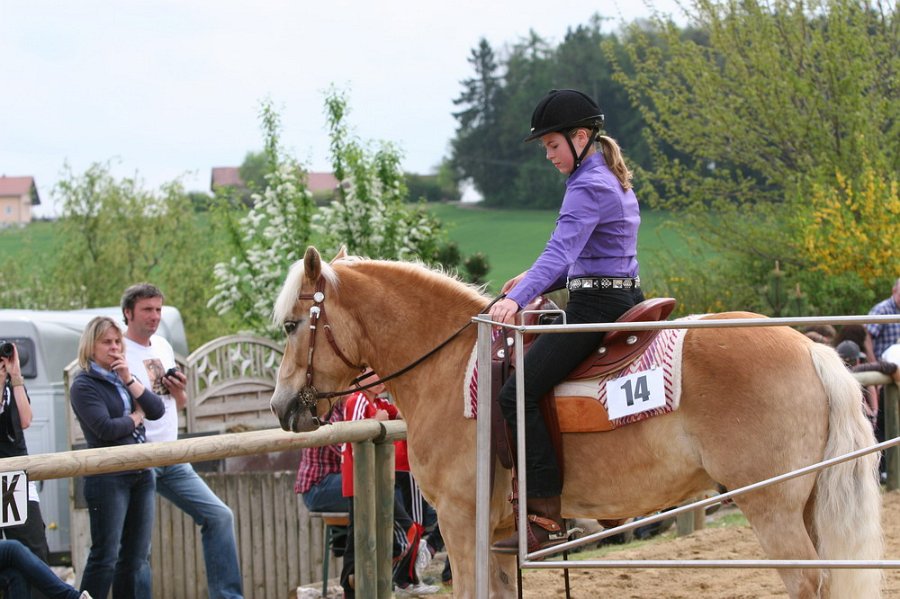 Galler 2010 65