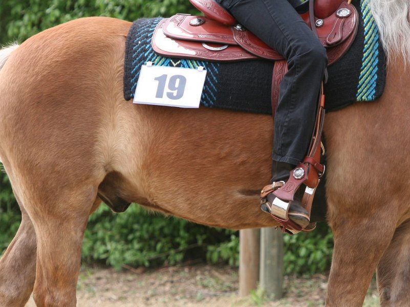 Galler 2010 67