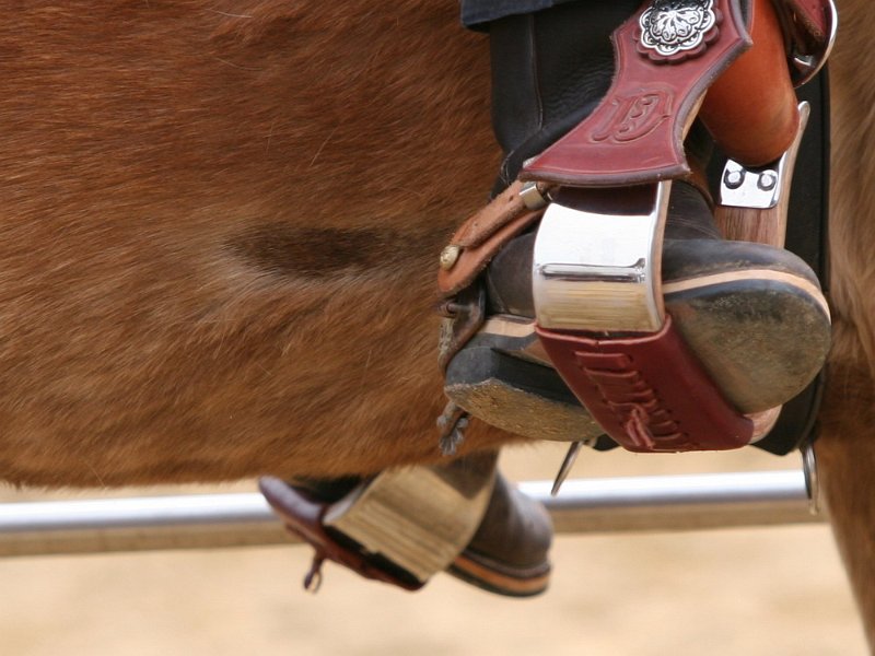 Galler 2010 68