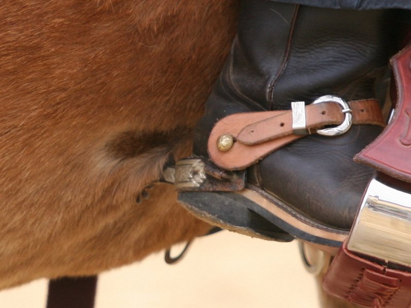 Galler 2010 69