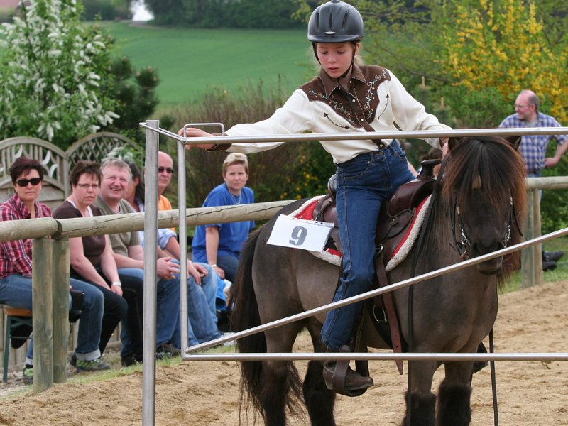 Galler 2010 73