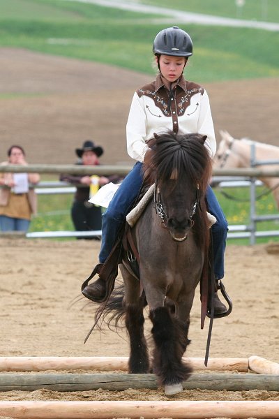 Galler 2010 76