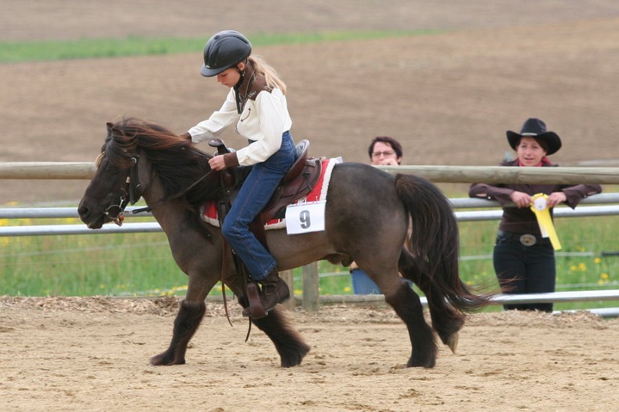 Galler 2010 77