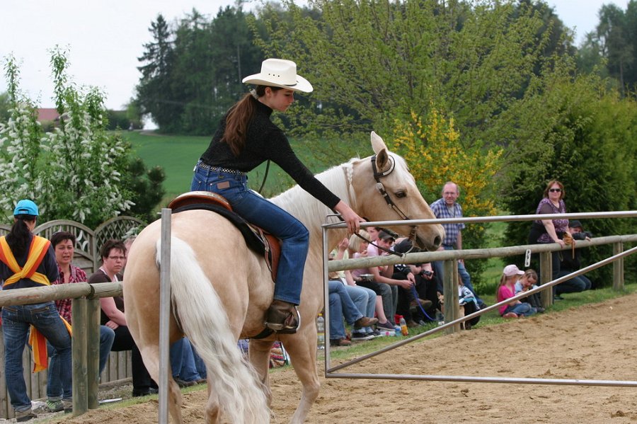 Galler 2010 83