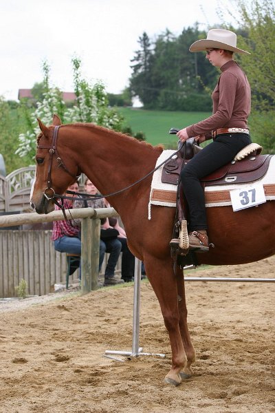 Galler 2010 88