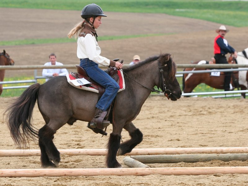 Galler 2010 94