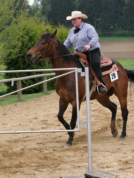 Galler 2010 98