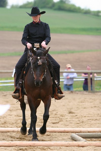 Galler 2010 99