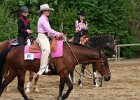Galler 2010 10