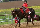 Galler 2010 26