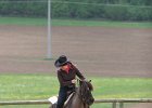 Galler 2010 60