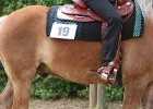 Galler 2010 67