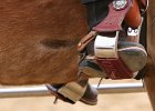 Galler 2010 68