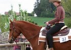 Galler 2010 88