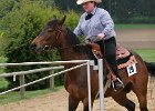 Galler 2010 98