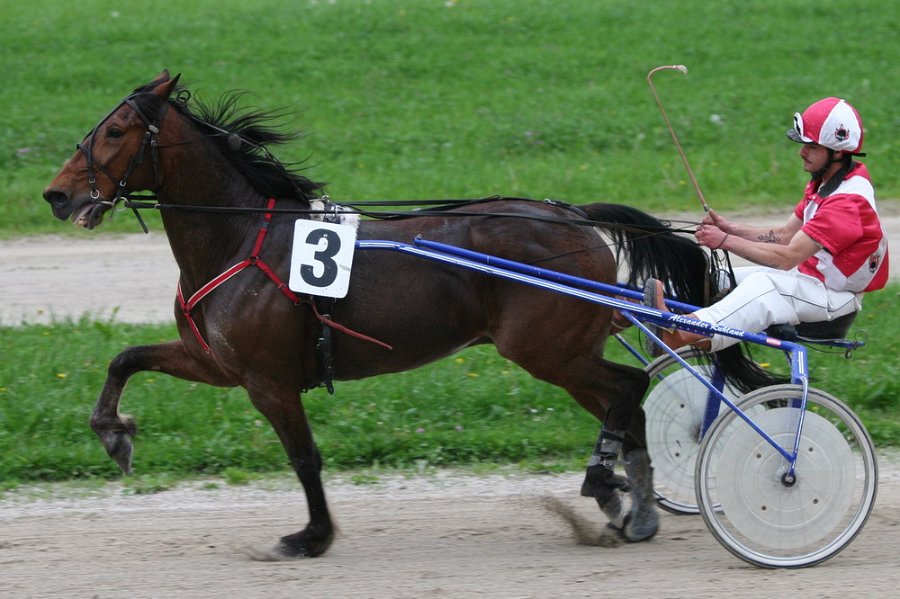 Mueldorf rennbahn 2019 01