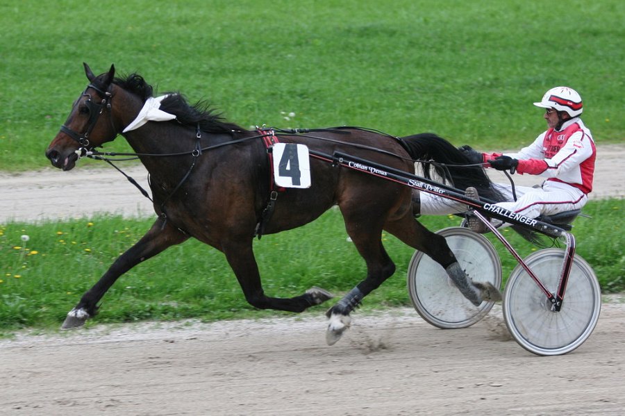 Mueldorf rennbahn 2019 03