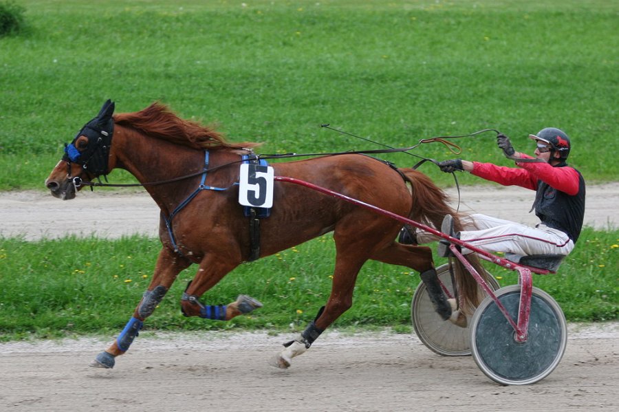 Mueldorf rennbahn 2019 04
