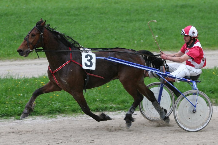 Mueldorf rennbahn 2019 05