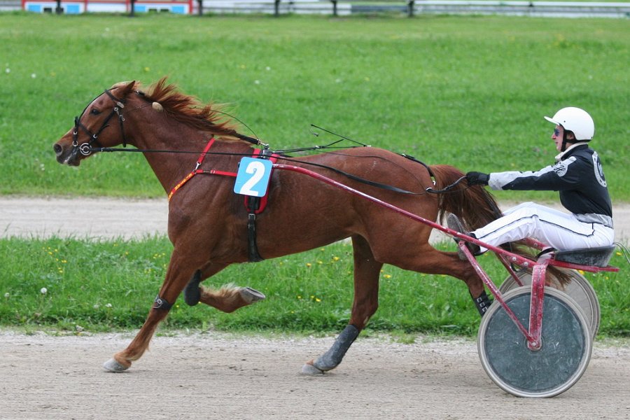 Mueldorf rennbahn 2019 06