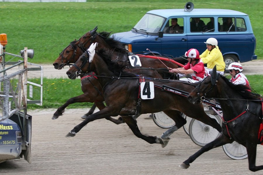 Mueldorf rennbahn 2019 07