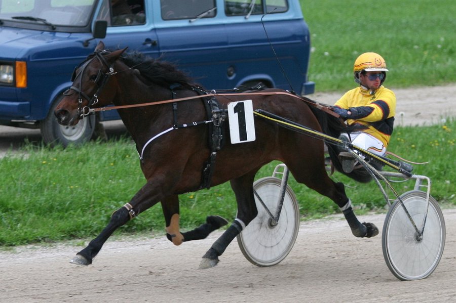 Mueldorf rennbahn 2019 08