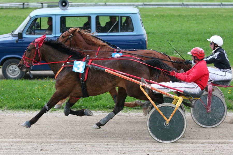 Mueldorf rennbahn 2019 09