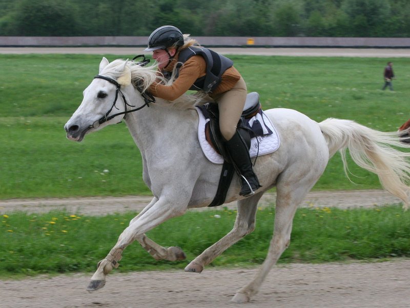 Mueldorf rennbahn 2019 16