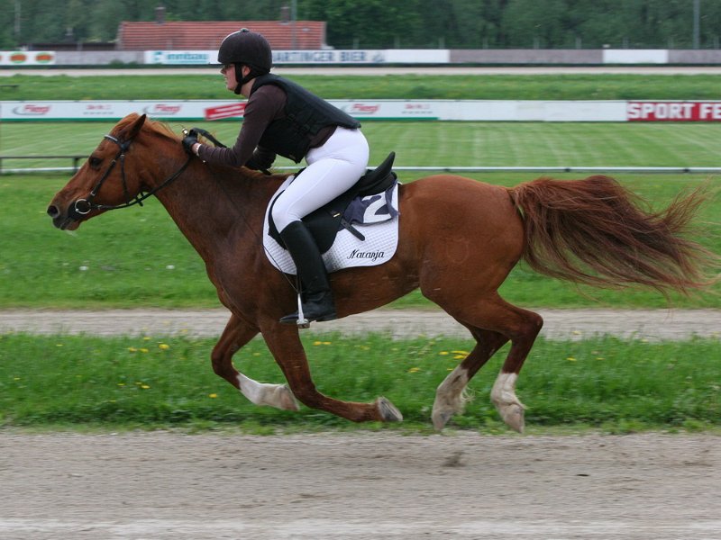 Mueldorf rennbahn 2019 17