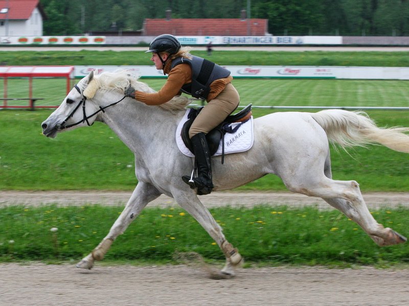 Mueldorf rennbahn 2019 18