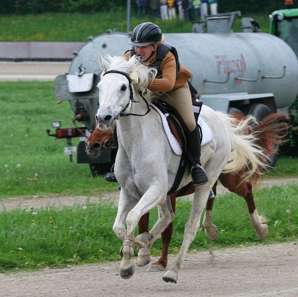 Mueldorf rennbahn 2019 21
