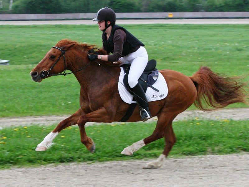 Mueldorf rennbahn 2019 22