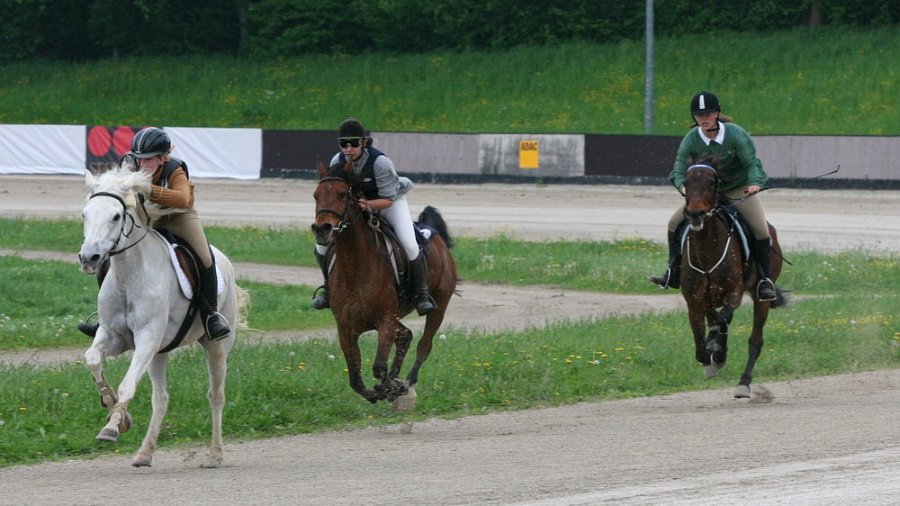 Mueldorf rennbahn 2019 23