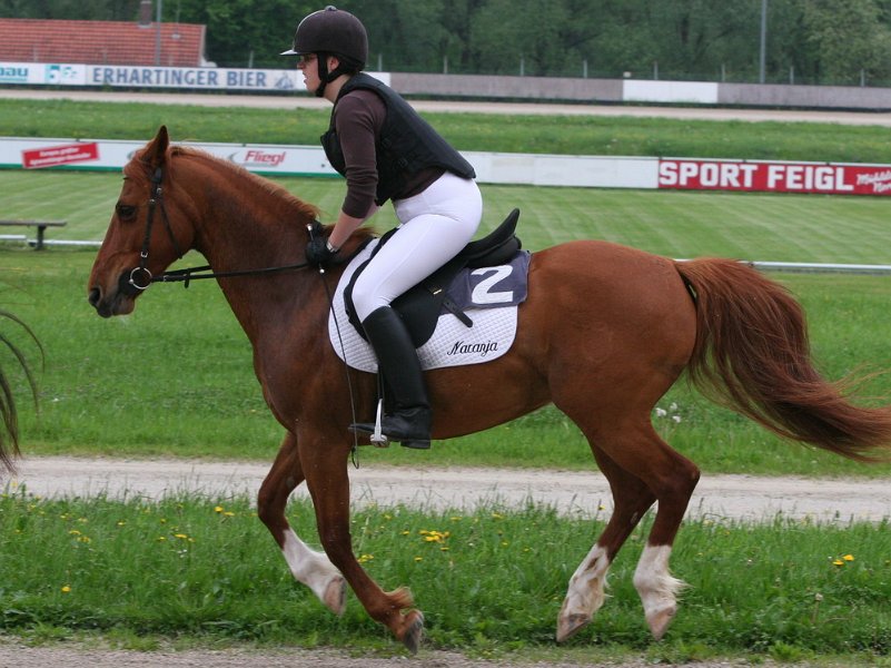 Mueldorf rennbahn 2019 25