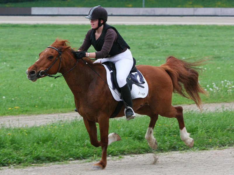 Mueldorf rennbahn 2019 26