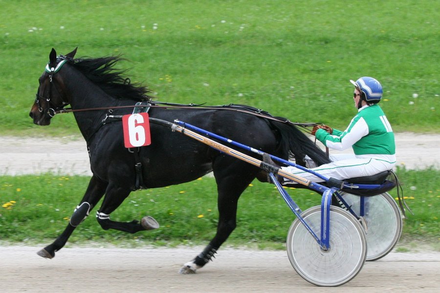 Mueldorf rennbahn 2019 27
