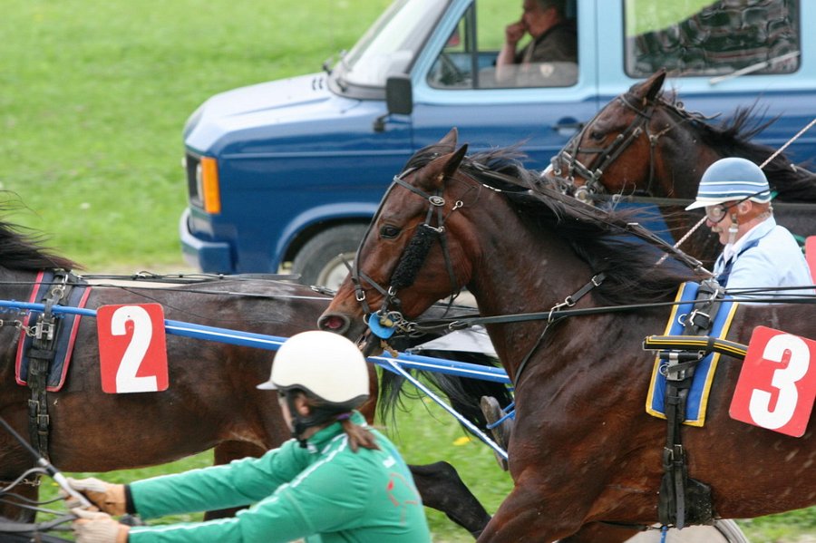 Mueldorf rennbahn 2019 31