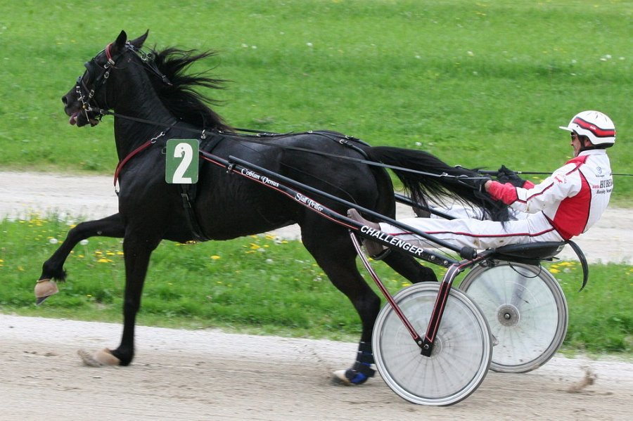 Mueldorf rennbahn 2019 32
