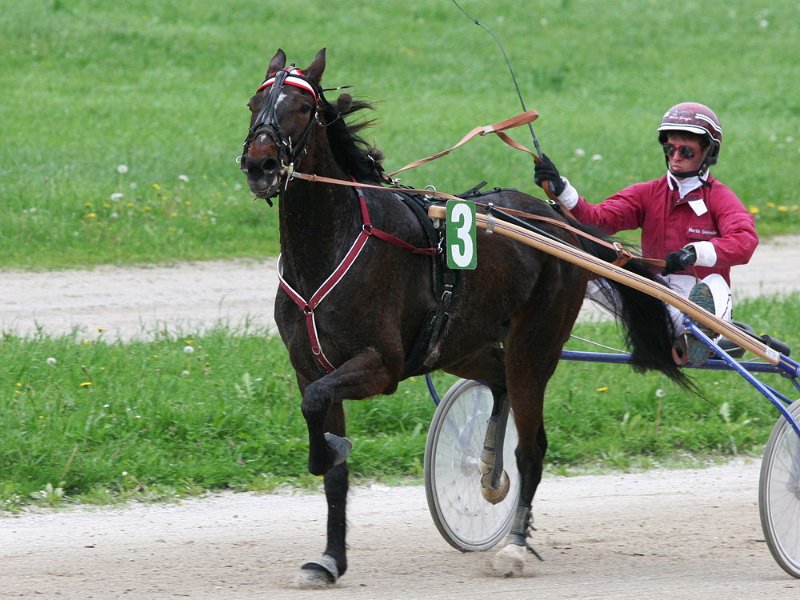 Mueldorf rennbahn 2019 33