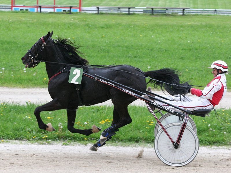 Mueldorf rennbahn 2019 37
